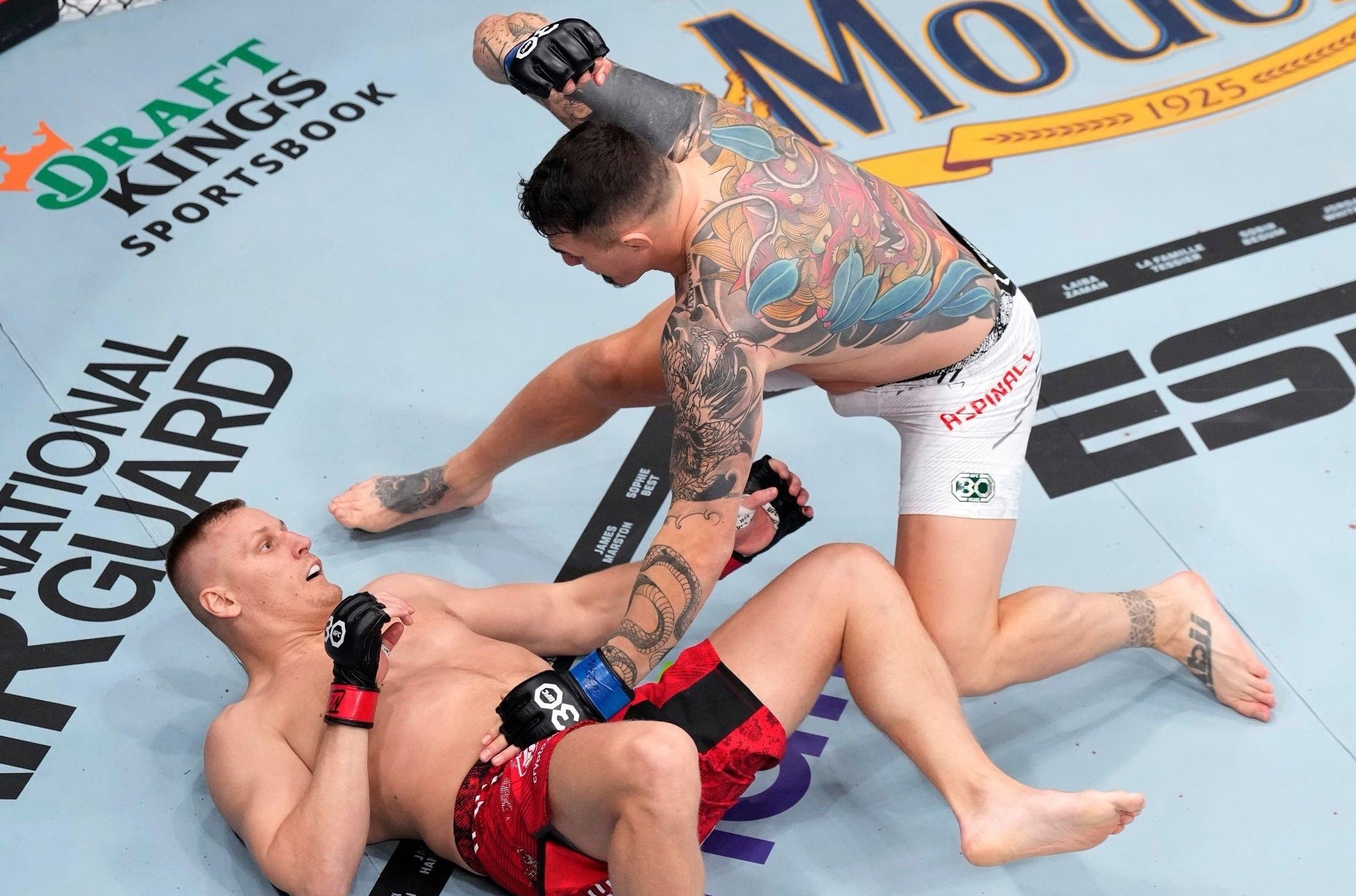 Крах надежд на историческую победу: Аспиналл брутально нокаутировал Павловича на UFC 295